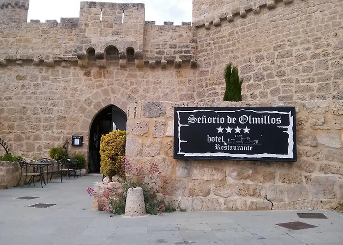 Hotel Senorio De Olmillos 4*