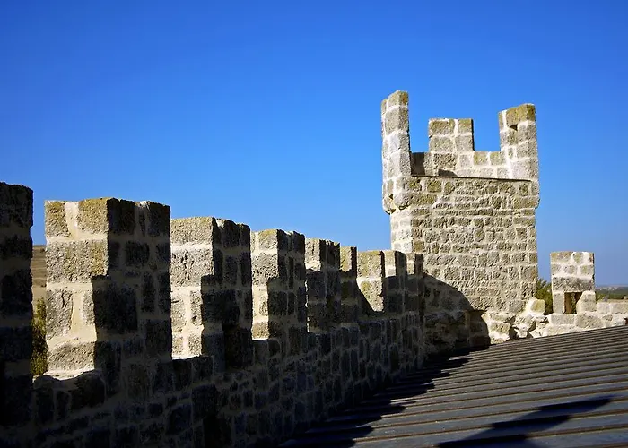 Hotel Senorio De Olmillos 4*